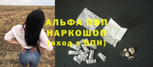 дживик Арсеньев