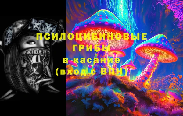 дживик Арсеньев