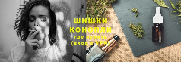 дживик Арсеньев